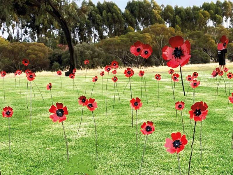 ANZAC Poppies